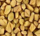 Fenugreek