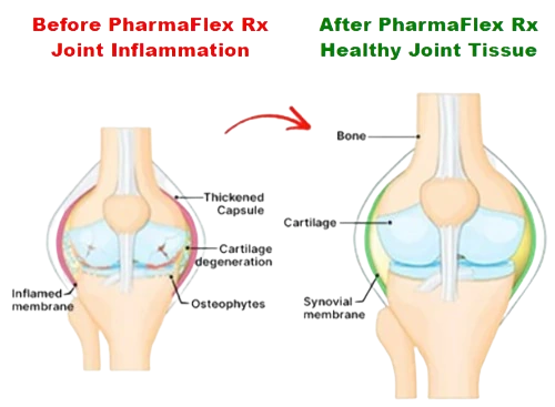 PharmaFlex RX Benefits