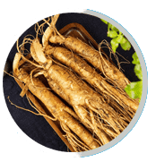 Asian Ginseng