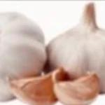Garlic Bulb
