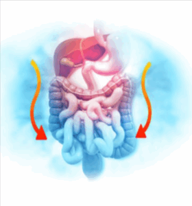 Integrative Digestive Formula Benefits