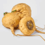 Maca Root Extract