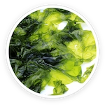 Nori Yaki