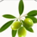 Olive Leaf