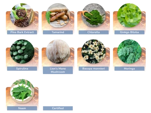 Pineal Guardian X Ingredients
