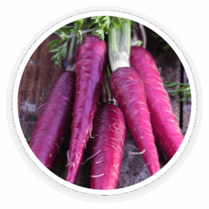 Sodium Alginate & Carrot Powder