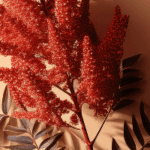 Sumac Extract